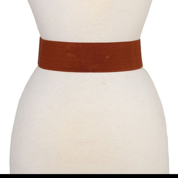 Rhinestone Pave Fashion Stretch Belt - Picture 2 of 9